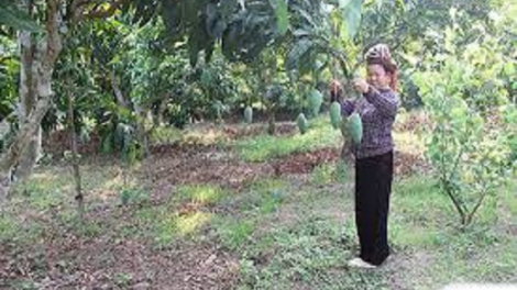 Urang kumei bangsa Thái duah jien tame meng pala phun mbang baoh