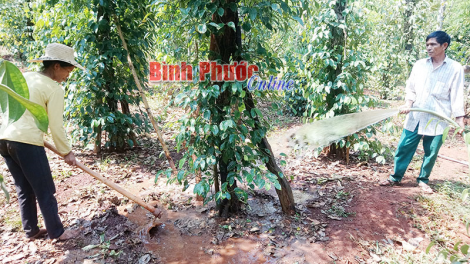 Binh Phuoc: Gah ngak nong sami samar pacang pandiak thu lagu