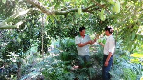 Biak uan tabuan ka bhum palei pala rilo  pa-ok