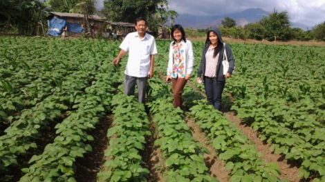 Ninh Thuan salih janih phun pala pacang bien doi khi hau