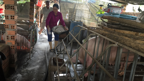 Dong Nai ngak tui jalan sinh học  hacih sa-at piah plaik njiak jit tả pabui chau Phi