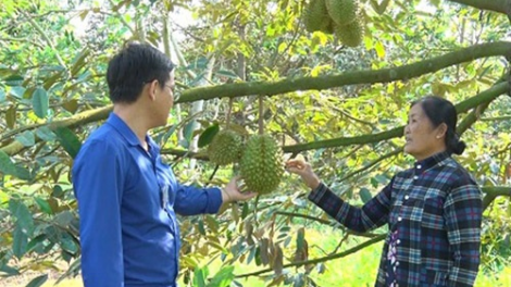 Cần Thơ: Bruk jik gia công – daong ka urang kamei cakrok patagok kinh tế, yam tapa truh kathaot