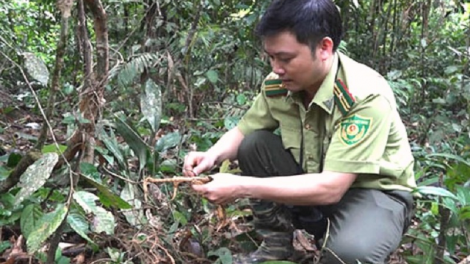 Phun jru daong ka urang Cơ Tu di Quảng Nam tapa truh kathaot