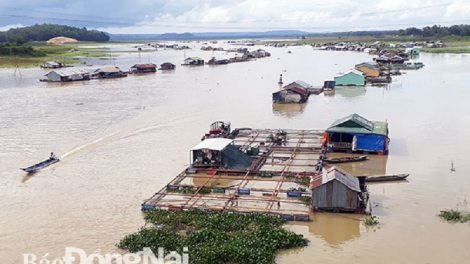 Brei thau ka bruk patagok ô nhiễm aia di kraong Dong Nai