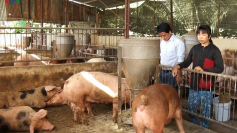 Huac kanda jit ruak nao tapa pabui urang nong silih tapa rong menuk da