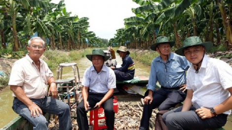 An Giang pambak prong bruk pala patei angaok taneh lakhur