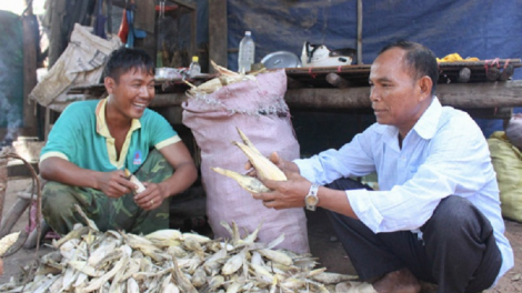 Ninh Thuận:Urang hu angan je lac boh tatua pambuak pagam meng bruk ngak di Đảng, hatai bhap bini