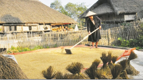 Khik ilamo bangsa angaok bhum taneh bahrau