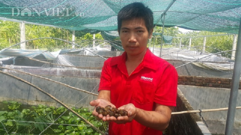 Ba blah thaot urang karei tagok mạng yau habar ka njauk adat hukum?