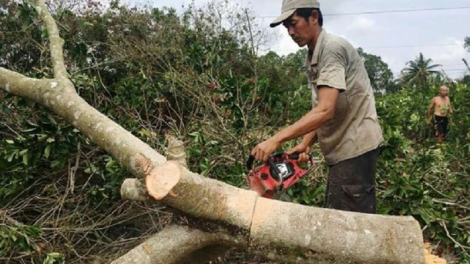 Bhum taneran kraong CL: Pasiam veik bein phun hadei pandiak bhang njom ia mbak