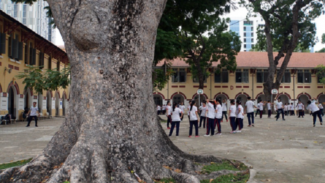 Phun kayau pala dalam sang bac: Bruk vang huan dalam khik ramik