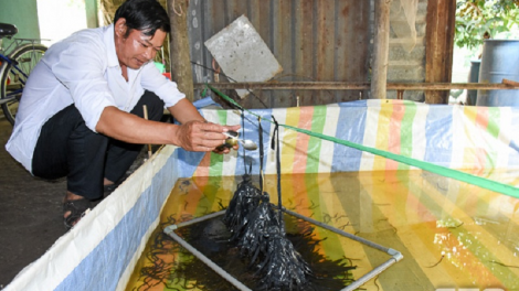 An Giang: Tauk blah nylon angaok bein piah raong lanung hu kein laba