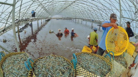 Bến Tre padang ngak bhum rong hadang pandar ilamu công nghệ glong