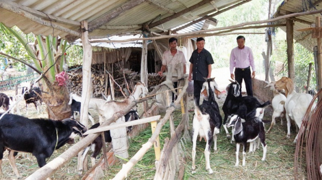 Bình Thuận: phun jien sarak karja daok ba mai kein laba