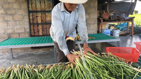 Sa urang nong kaya mada bangsa Chăm