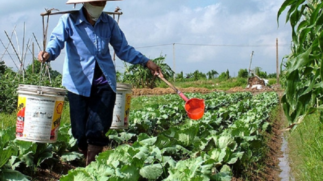 Sa po bein di Đăk Nong alin 60 tấn baoh pau daong ka mikva bhum jit