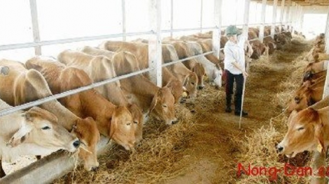 Đong Nai khang tangin langyah dom labik raong glang ngak brei nerak tachauk alaim moi trương