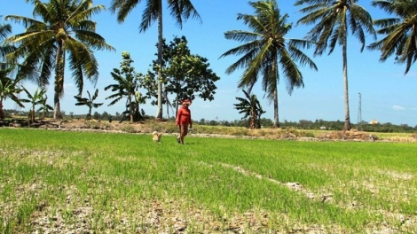 Pandiak bhang, njom ia mbak di bhum Pei negar meda catang dalam bilan 2