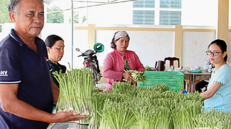 Urang kumei Ninh Thuận ba gauk tame padang ngak palei pala bahrau