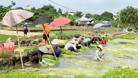 Đồng Nai ramik veik bruk ngak nong piah lagaih haong bruk di anak meta