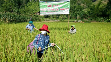 UB Bangsa padang ngak " Danak dak KH & CN piah patagok kinh te XH  bhum urang bangsa takik saong bhum ceik tukvak 2021-2030”