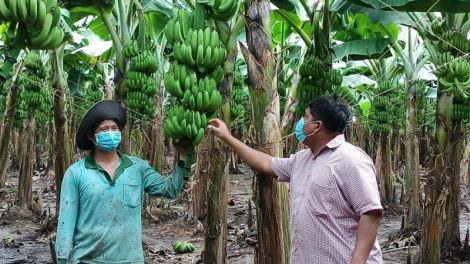 Bhap bini bhum ceik tỉnh Bình Thuận haong rilo bruk ngak nong gheih