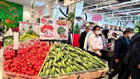 Ninh Thuận: labik dang di  HTX dalam bruk pablei kaya nong ka  urang nong