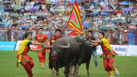 Harei pataom ginuh kubao di Đồ Sơn