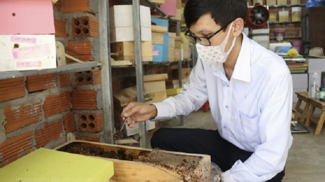 Ninh Thuan: bruk raong “ong dú”- danko ba jien tame glaong