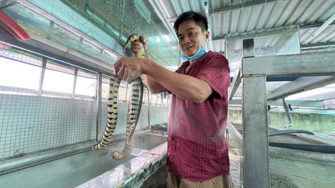 Urang nong Cần Thơ raong ula ri voi dalam sang lầu hu jien tame rilo