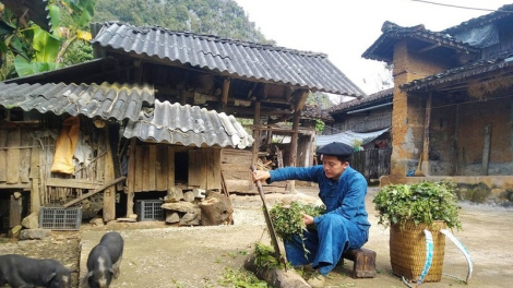 Jalan ngak du lịch biak karei di Sùng Mí Phìn