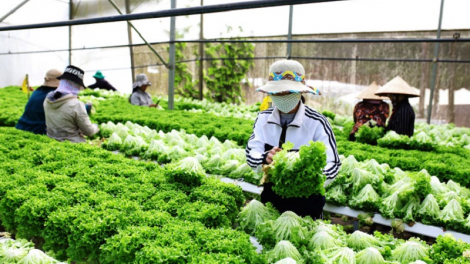 Ngak ka baoh parai tabiak tui bilan, jalan ngak piah baoh kayau mbuan pablei