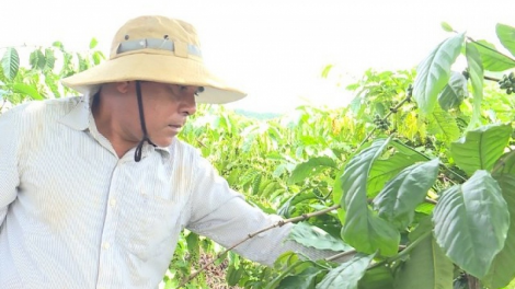 Patagok bruk ba akaok nao dahlau di urang đảng lac urang bangsa takik