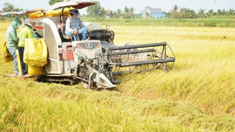 Rik phun jien payeng tui bilan padai, daong gauk tabiak truh kan kathaot di bhum taphia negar