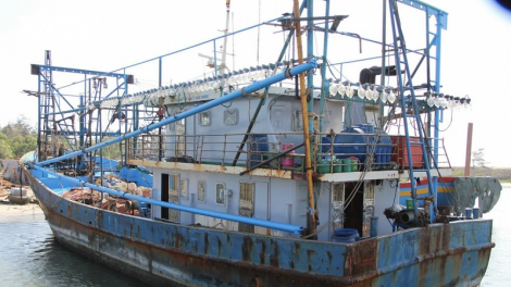 Urang taong ikan di tasik Bà Rịa - Vũng Tàu tavak sre kayua gilai 67