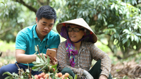 Tuk urang nong di Bình Thuận ba gauk tame chuyển đổi số