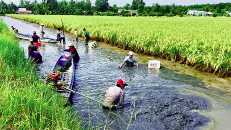 Tapa peih ngak rilo thun, bruk raong hadang pambuak haong ngak padai hu taong yaom lac bruk cakrok khang kajap ba jien tame glaong ka urang ngak nong, abih di nyu lac dom baoh sang daok di tapen tasik bhum taneran kraong Cuu Long