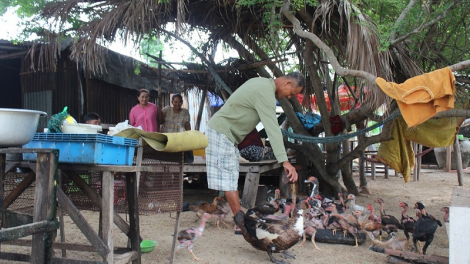 Phan Thiết daong ka urang kan kathaot tani tanat raidiuk