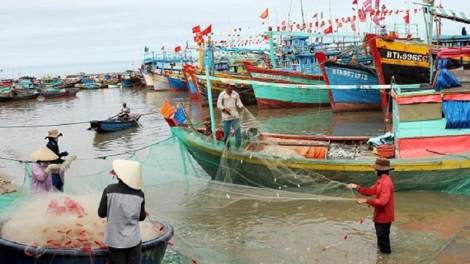 Chi cục Thủy sản tỉnh Bình Thuận brei thau, tal harei ini hu brei 4.217 harak adat taong cap kaya ikan dalam abih tih 5.472 kapal ikan hu tut angan bloh, menlah labaih 77%