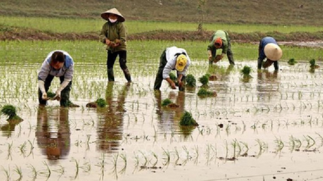 Ninh Thuan : Samar trun pajaih bilan Hè - Thu 2022