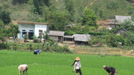 Samar mboh saong caga pasiam jit ruak palai kaik padai đong xuan