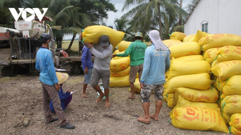 Soc Trang pamaong tal pambuak gauk ngak saong pablei padai khang kajap