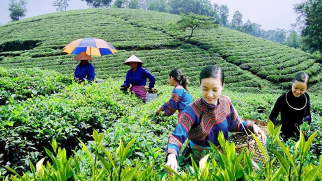 Rajaei Viet Nam brei patagok dahlau kinh te pambuak pagam haong sarak iek glang ka bhap bini bangsa takik, urang kan kathaot