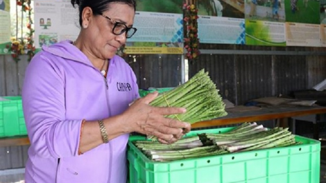 Dalikan ngak kaya meda di amuk Châu Thị Xéo