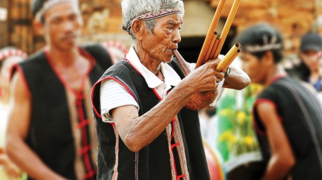 Nghe nhan khen bau Chamalea Thanh