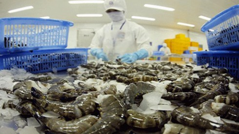 Khaw tin 6h30 harei 21/12