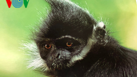 Khaw tin 19h harei 16/12