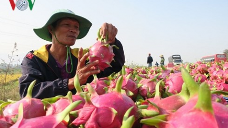 Khaw  tin tuk 10h30 saong 14h30 harei 10/2​