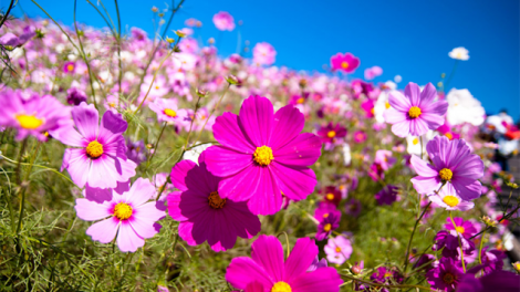 T'RUIH PA XUL T'NGAY 18-2-2022