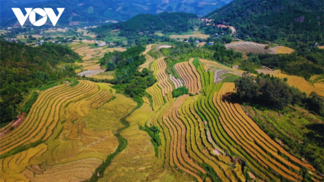 T'RUIH PA XUL T'NGAY 25-2-2022